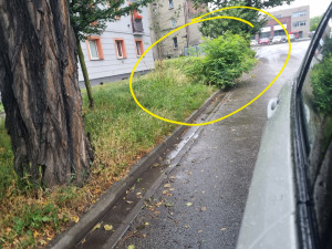 Zdjęcie 2 przedstawia problem zgłoszony w tym alercie