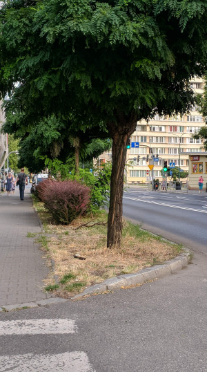 Zdjęcie 1 przedstawia problem zgłoszony w tym alercie