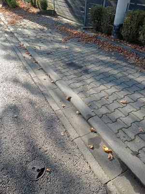 Zdjęcie 2 przedstawia problem zgłoszony w tym alercie