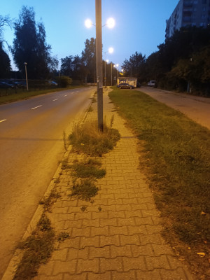 Zdjęcie 1 przedstawia problem zgłoszony w tym alercie