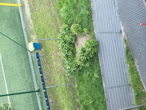 Zdjęcie 1 przedstawia problem zgłoszony w tym alercie