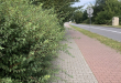 Zdjęcie 1 przedstawia problem zgłoszony w tym alercie