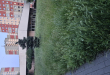 Zdjęcie 3 przedstawia problem zgłoszony w tym alercie