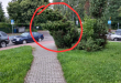 Zdjęcie 1 przedstawia problem zgłoszony w tym alercie