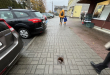 Zdjęcie 1 przedstawia problem zgłoszony w tym alercie