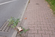 Zdjęcie 2 przedstawia problem zgłoszony w tym alercie