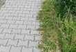 Zdjęcie 1 przedstawia problem zgłoszony w tym alercie