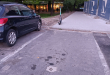 Zdjęcie 2 przedstawia problem zgłoszony w tym alercie