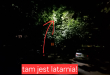 Zdjęcie 1 przedstawia problem zgłoszony w tym alercie