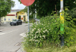 Zdjęcie 1 przedstawia problem zgłoszony w tym alercie