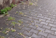 Zdjęcie 4 przedstawia problem zgłoszony w tym alercie