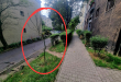 Zdjęcie 2 przedstawia problem zgłoszony w tym alercie