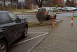 Zdjęcie 1 przedstawia problem zgłoszony w tym alercie