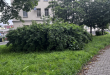 Zdjęcie 5 przedstawia problem zgłoszony w tym alercie