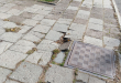 Zdjęcie 1 przedstawia problem zgłoszony w tym alercie