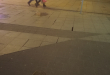 Zdjęcie 1 przedstawia problem zgłoszony w tym alercie
