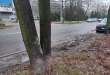 Zdjęcie 2 przedstawia problem zgłoszony w tym alercie