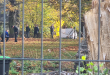 Zdjęcie 2 przedstawia problem zgłoszony w tym alercie