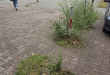 Zdjęcie 1 przedstawia problem zgłoszony w tym alercie