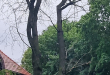Zdjęcie 2 przedstawia problem zgłoszony w tym alercie