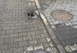 Zdjęcie 1 przedstawia problem zgłoszony w tym alercie