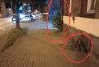 Zdjęcie 1 przedstawia problem zgłoszony w tym alercie