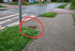 Zdjęcie 1 przedstawia problem zgłoszony w tym alercie