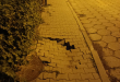 Zdjęcie 1 przedstawia problem zgłoszony w tym alercie