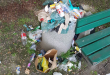 Zdjęcie 1 przedstawia problem zgłoszony w tym alercie