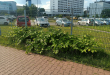 Zdjęcie 3 przedstawia problem zgłoszony w tym alercie