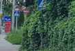 Zdjęcie 1 przedstawia problem zgłoszony w tym alercie