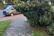 Zdjęcie 1 przedstawia problem zgłoszony w tym alercie