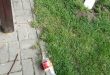 Zdjęcie 1 przedstawia problem zgłoszony w tym alercie