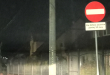 Zdjęcie 1 przedstawia problem zgłoszony w tym alercie