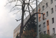 Zdjęcie 2 przedstawia problem zgłoszony w tym alercie
