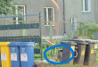 Zdjęcie 1 przedstawia problem zgłoszony w tym alercie