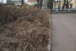 Zdjęcie 4 przedstawia problem zgłoszony w tym alercie
