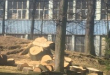 Zdjęcie 2 przedstawia problem zgłoszony w tym alercie