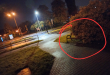 Zdjęcie 2 przedstawia problem zgłoszony w tym alercie
