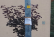 Zdjęcie 3 przedstawia problem zgłoszony w tym alercie