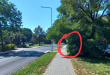 Zdjęcie 2 przedstawia problem zgłoszony w tym alercie