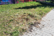 Zdjęcie 2 przedstawia problem zgłoszony w tym alercie