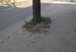 Zdjęcie 1 przedstawia problem zgłoszony w tym alercie
