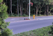 Zdjęcie 1 przedstawia problem zgłoszony w tym alercie