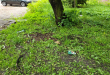 Zdjęcie 3 przedstawia problem zgłoszony w tym alercie