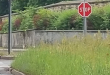 Zdjęcie 3 przedstawia problem zgłoszony w tym alercie