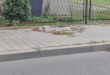 Zdjęcie 1 przedstawia problem zgłoszony w tym alercie