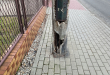 Zdjęcie 1 przedstawia problem zgłoszony w tym alercie