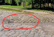 Zdjęcie 2 przedstawia problem zgłoszony w tym alercie