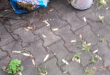 Zdjęcie 1 przedstawia problem zgłoszony w tym alercie